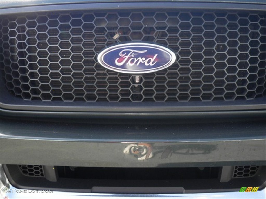 2005 F150 XLT SuperCab - Aspen Green Metallic / Tan photo #5