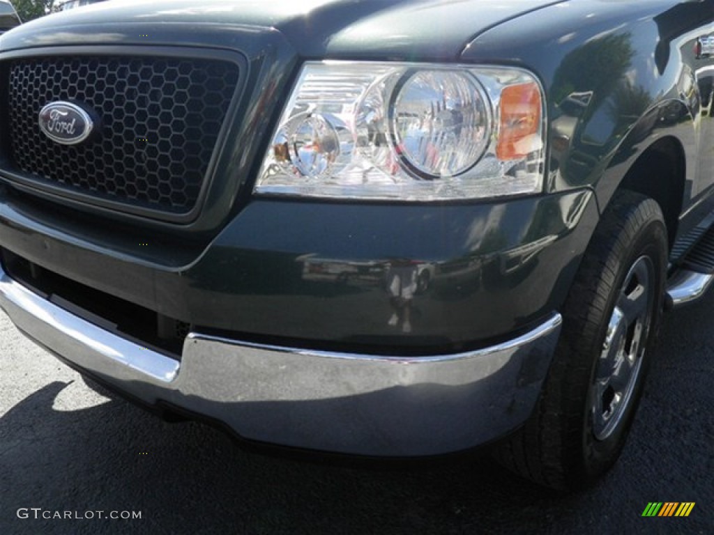 2005 F150 XLT SuperCab - Aspen Green Metallic / Tan photo #8