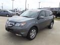 2009 Sterling Gray Metallic Acura MDX   photo #1