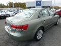 Natural Khaki Green - Sonata GLS Photo No. 3