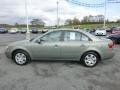 Natural Khaki Green - Sonata GLS Photo No. 6