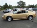  2000 Mustang V6 Coupe Sunburst Gold Metallic