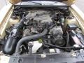 2000 Sunburst Gold Metallic Ford Mustang V6 Coupe  photo #26