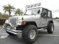 2005 Bright Silver Metallic Jeep Wrangler SE 4x4  photo #3