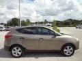 2010 Chai Bronze Hyundai Tucson GLS  photo #10