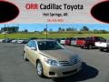 Sandy Beach Metallic - Camry LE Photo No. 1