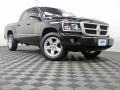 Brilliant Black Crystal Pearl - Dakota Big Horn Crew Cab 4x4 Photo No. 1