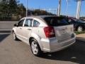 Bright Silver Metallic - Caliber SE Photo No. 3
