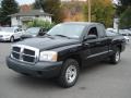 Black 2005 Dodge Dakota ST Club Cab 4x4 Exterior