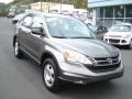 2010 Urban Titanium Metallic Honda CR-V LX  photo #2