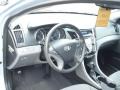 Radiant Silver - Sonata GLS Photo No. 10