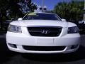 Arctic White - Sonata GLS Photo No. 3