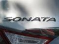 Radiant Silver - Sonata GLS Photo No. 24