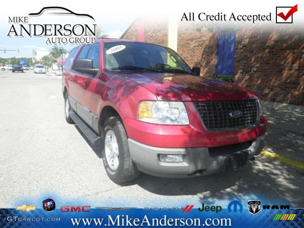 2003 Expedition XLT 4x4 - Laser Red Tinted Metallic / Flint Grey photo #1