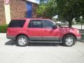 Laser Red Tinted Metallic - Expedition XLT 4x4 Photo No. 2