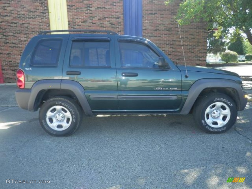 2002 Liberty Sport 4x4 - Shale Green Metallic / Dark Slate Gray photo #2