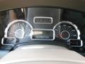 Stone Gauges Photo for 2010 Ford Expedition #72255187