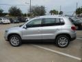 Reflex Silver Metallic - Tiguan SE Photo No. 4