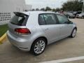 Reflex Silver Metallic - Golf 4 Door TDI Photo No. 7