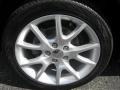 Pitch Black - Dart SXT Photo No. 19