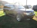 Cinnamon Metallic 2009 Ford Flex Limited AWD