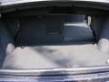 Blackberry Pearl Coat - 200 Touring Sedan Photo No. 25