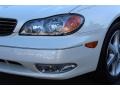 Ivory White Pearl - I 35 Photo No. 30