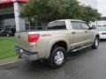 Desert Sand Mica - Tundra SR5 TRD CrewMax 4x4 Photo No. 25