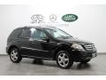 Black - ML 350 4Matic Photo No. 1