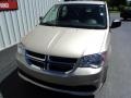 2013 Sandstone Dodge Grand Caravan American Value Package  photo #2