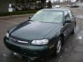 2002 Forest Green Metallic Chevrolet Malibu LS Sedan  photo #8