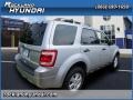 2010 Ingot Silver Metallic Ford Escape XLT V6 4WD  photo #3