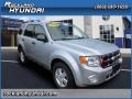 2010 Ingot Silver Metallic Ford Escape XLT V6 4WD  photo #4