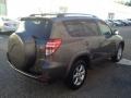 Pyrite Metallic - RAV4 Limited V6 4WD Photo No. 6