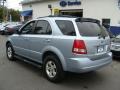 2006 Alpine Gray Kia Sorento LX  photo #6