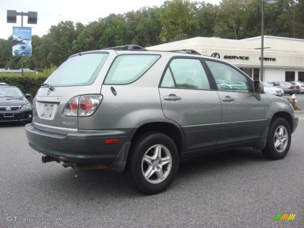 2001 RX 300 - Mineral Green Metallic / Ivory photo #4