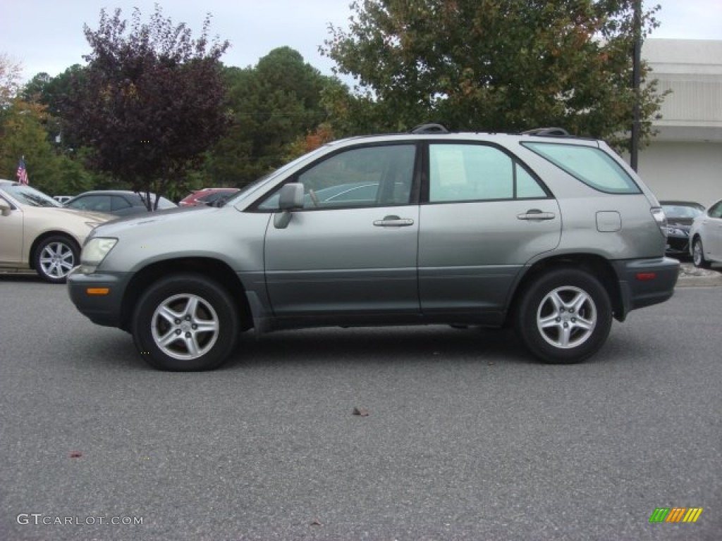 2001 RX 300 - Mineral Green Metallic / Ivory photo #6