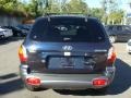 2004 Moonlit Blue Hyundai Santa Fe   photo #5