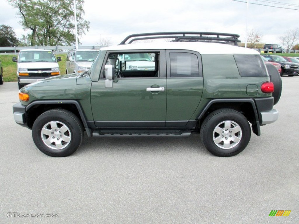 Army Green 2010 Toyota FJ Cruiser 4WD Exterior Photo #72294814