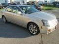 Light Platinum - CTS Sedan Photo No. 7