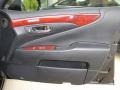 Black 2009 Lexus LS 460 Door Panel