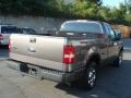Dark Shadow Grey Metallic - F150 XL Regular Cab Photo No. 4