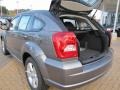 Tungsten Metallic - Caliber SXT Photo No. 8
