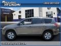 Pyrite Metallic - RAV4 I4 4WD Photo No. 2