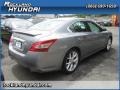 Precision Gray Metallic - Maxima 3.5 SV Photo No. 3