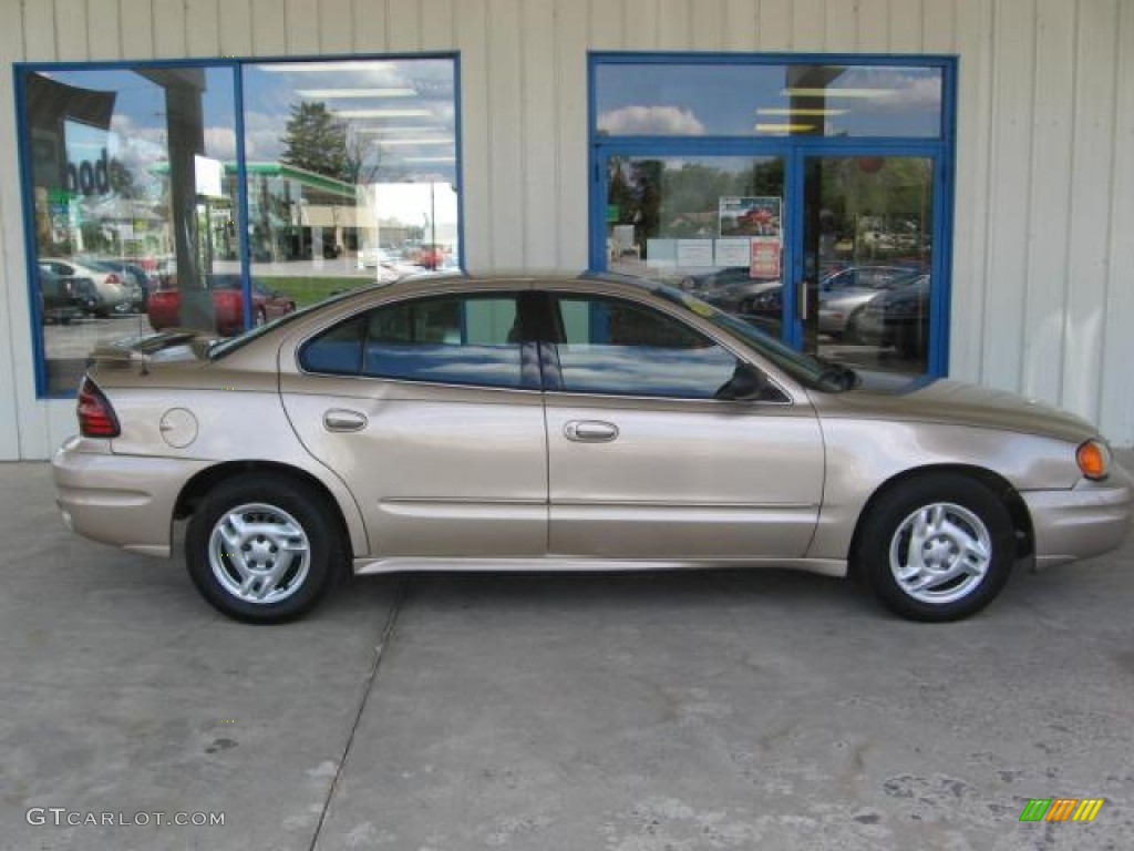 2005 Grand Am SE Sedan - Champagne Beige Metallic / Dark Taupe photo #2