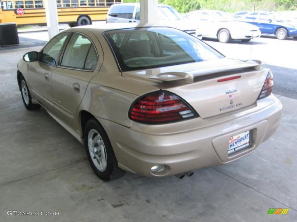 2005 Grand Am SE Sedan - Champagne Beige Metallic / Dark Taupe photo #3