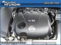 Precision Gray Metallic - Maxima 3.5 SV Photo No. 12