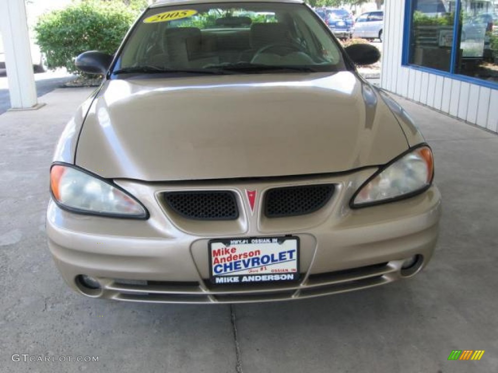 2005 Grand Am SE Sedan - Champagne Beige Metallic / Dark Taupe photo #19