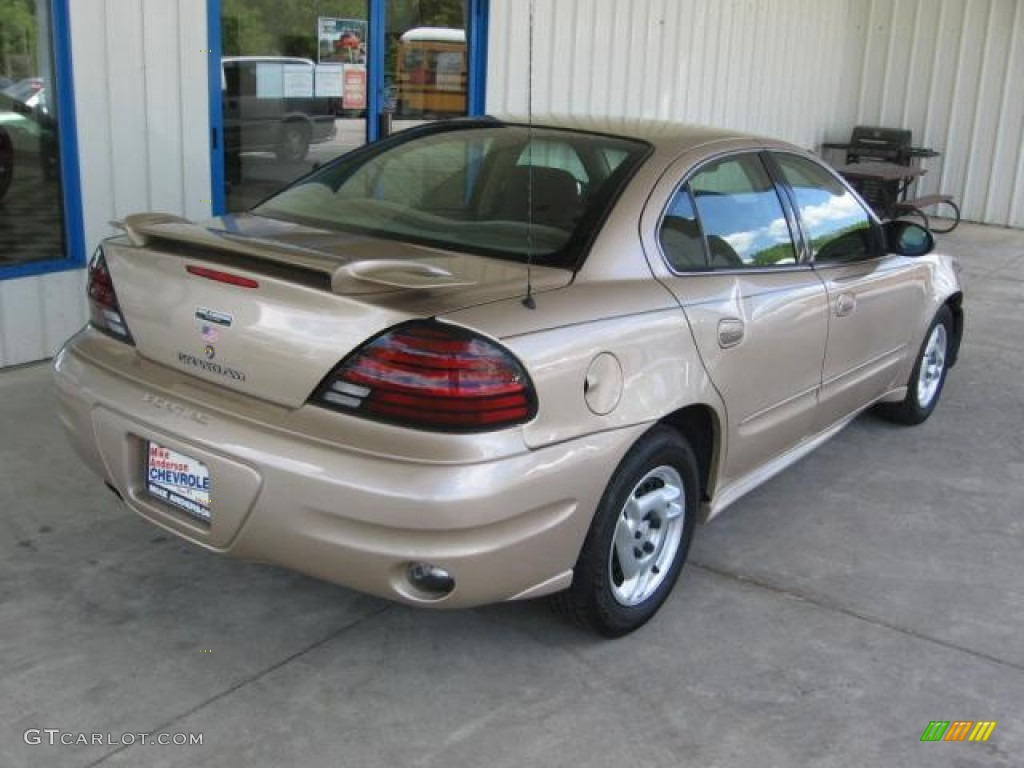 2005 Grand Am SE Sedan - Champagne Beige Metallic / Dark Taupe photo #20